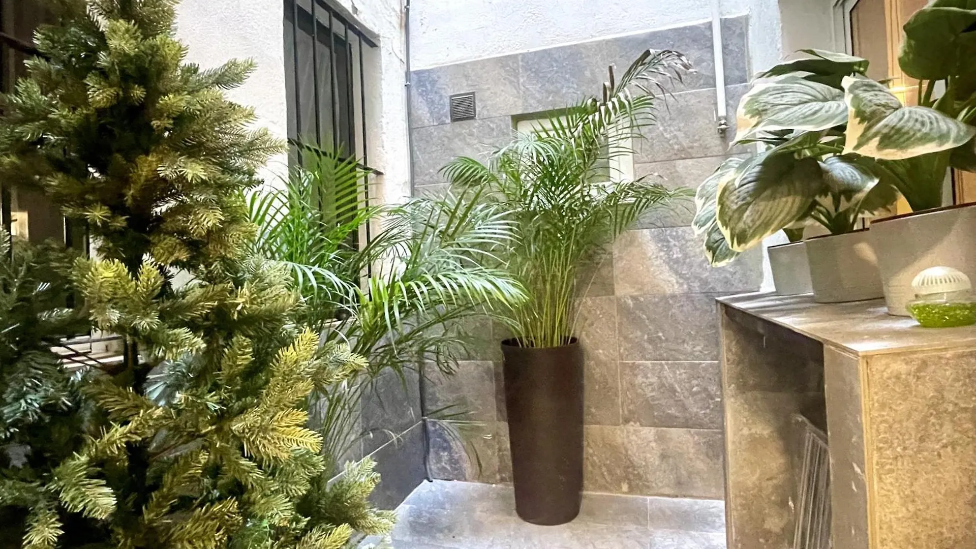 Eva Recommends Plaza De San Marcos Apartment Seville Spain